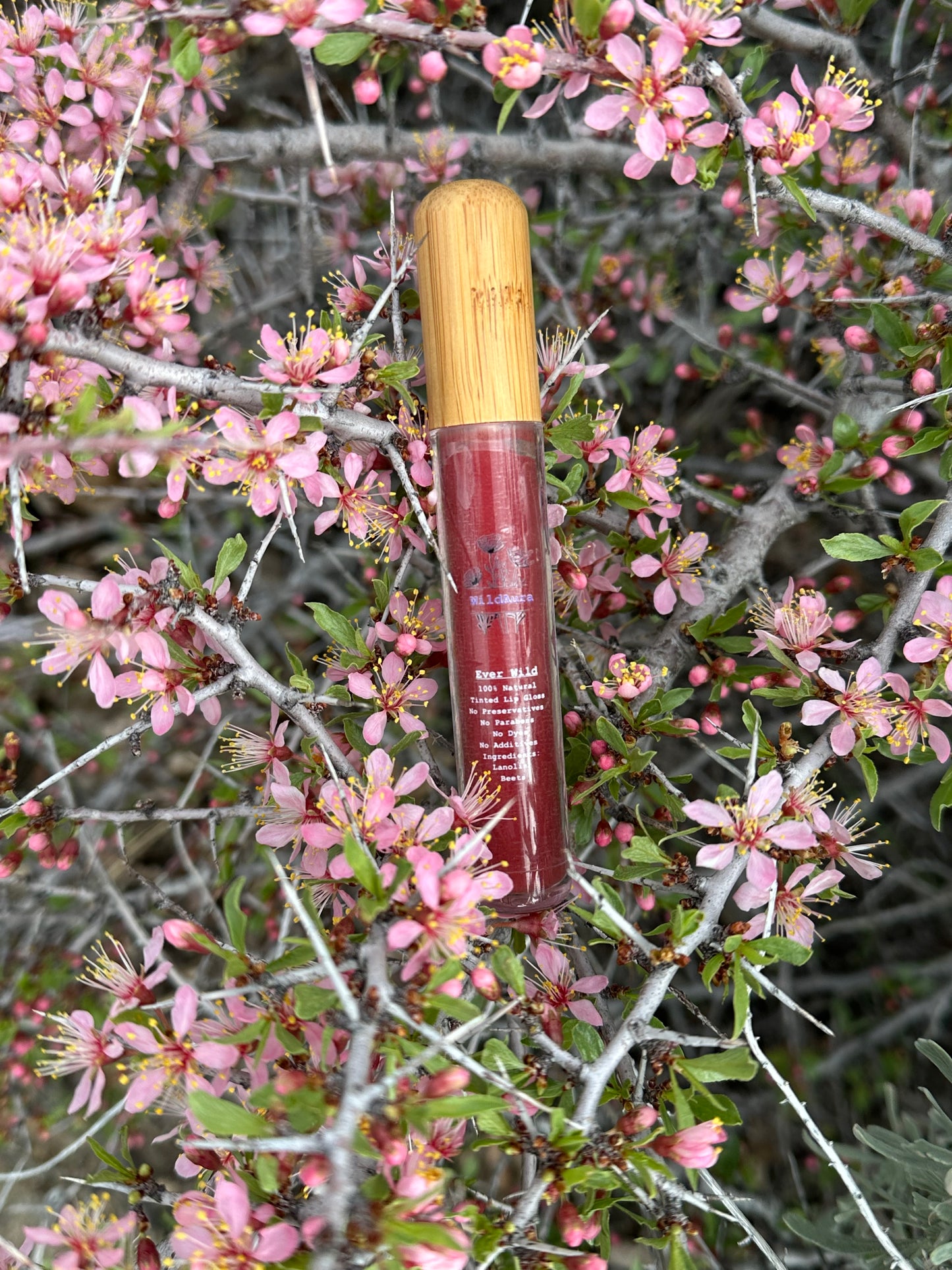 Lip Gloss