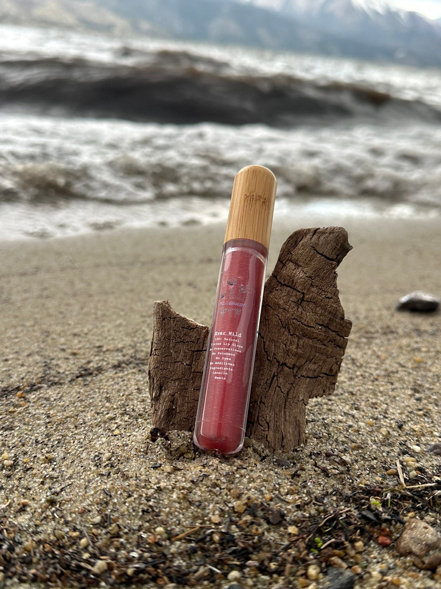 Lip Gloss